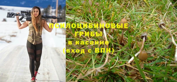 сатива Армянск
