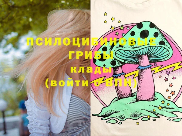 шишки Вязьма