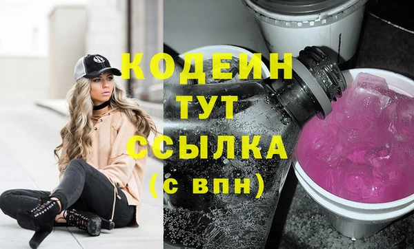 прущие грибы Алзамай
