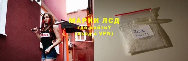 ПСИЛОЦИБИНОВЫЕ ГРИБЫ Арсеньев