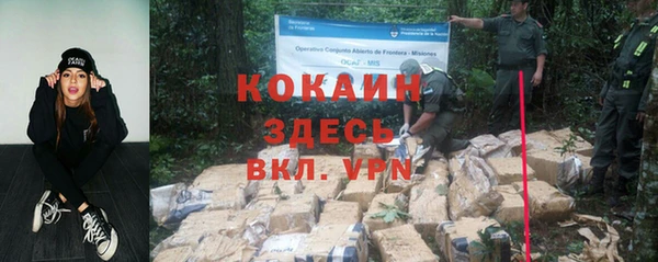 ПСИЛОЦИБИНОВЫЕ ГРИБЫ Арсеньев