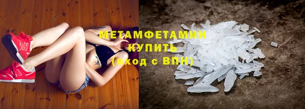 ПСИЛОЦИБИНОВЫЕ ГРИБЫ Арсеньев