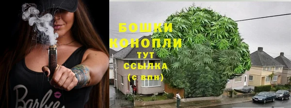 ПСИЛОЦИБИНОВЫЕ ГРИБЫ Арсеньев
